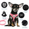 Dog Cat Harness Vest Adjustable Mesh Leash Small Medium Pets