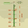 Floor to Ceiling Cactus Cat Tree with Scratching Post