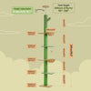 Floor to Ceiling Cactus Cat Tree with Scratching Post