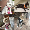 Dog Cat Harness Vest Adjustable Mesh Leash Small Medium Pets