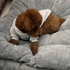 Oversized Plush Dog Cat Bed ,Sofa Crate Pad, Ultra Soft Polyester Pet Mat for All Size Cats Dogs, Adorable Rectangle Couch